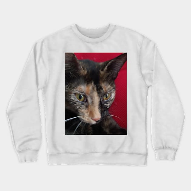 Scrapper-doodles Crewneck Sweatshirt by DMArtwork